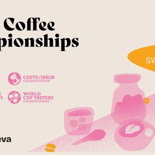 WCC Ginevra